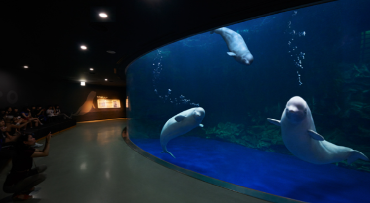 여수 아쿠아플라넷