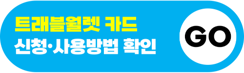도쿄-근교-여행지-가마쿠라-에노시마-요코하마-하코네-이즈-닛코-카와고에-스이카-애플페이-일본-체크-카드-돈키호테-할인쿠폰