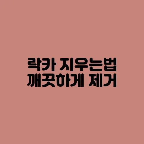 락카 지우는법 깨끗하게 제거