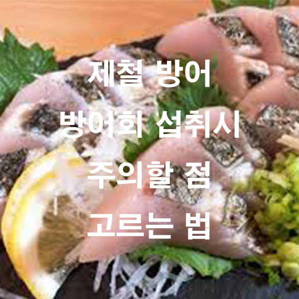 제철 방어 방어회 섭취시 주의할 점 고르는 법