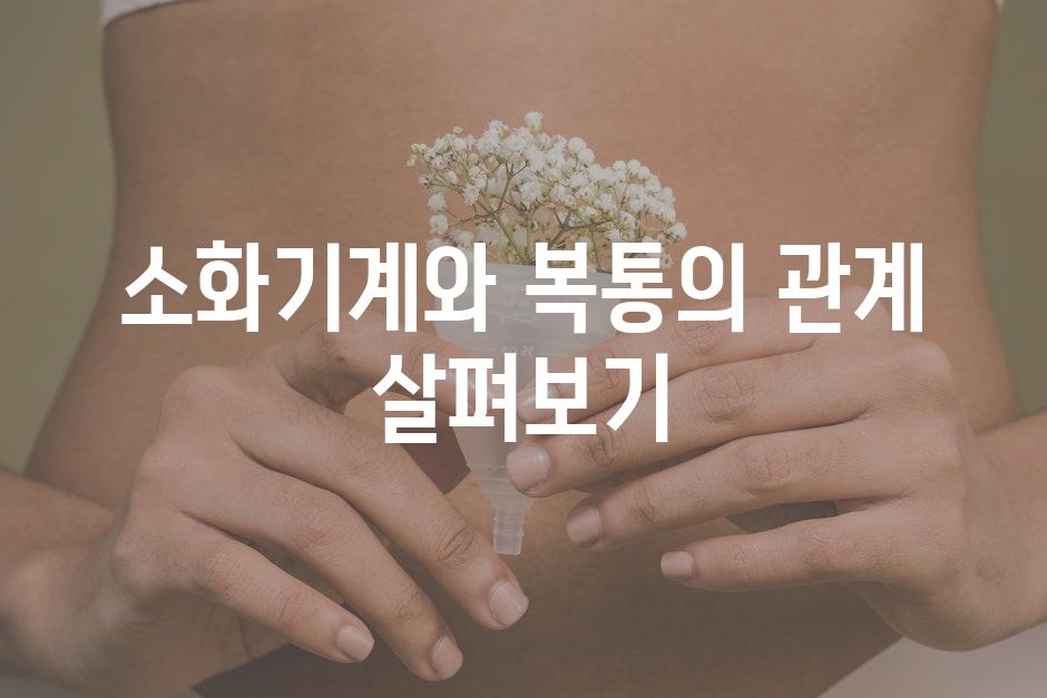 소화기계와 복통의 관계 살펴보기