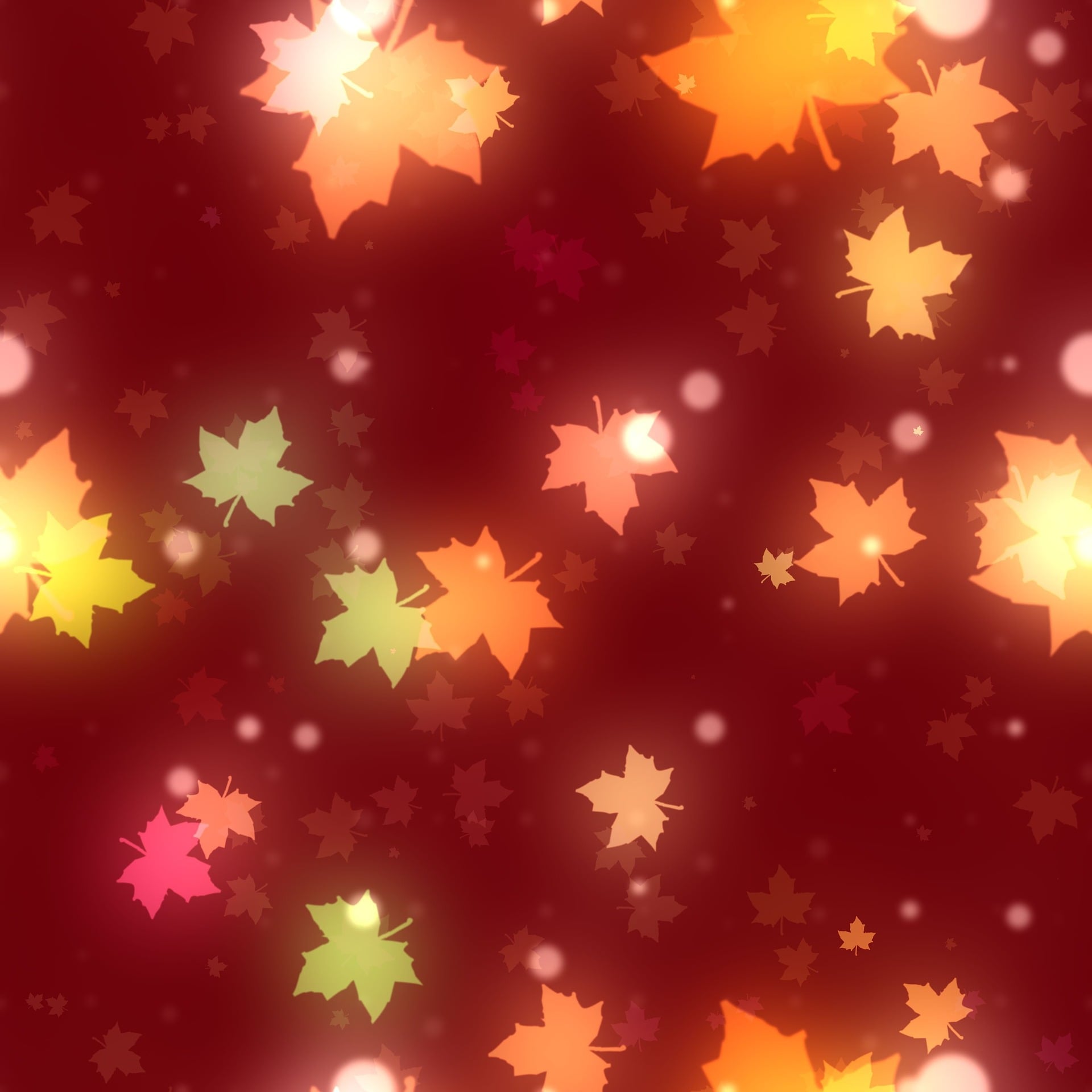 가을 이미지 사진 무료 다운