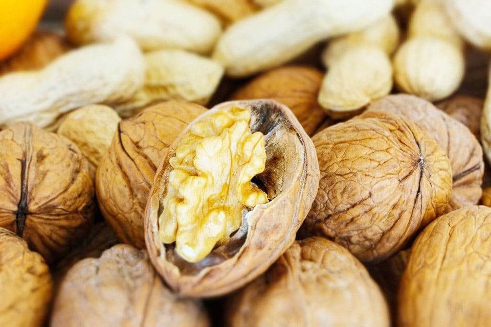 호두 효능과 부작용