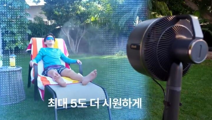 샤크-플렉스-브리즈-가격