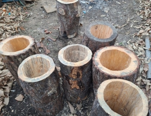 생생정보-홍천-꿀의진수