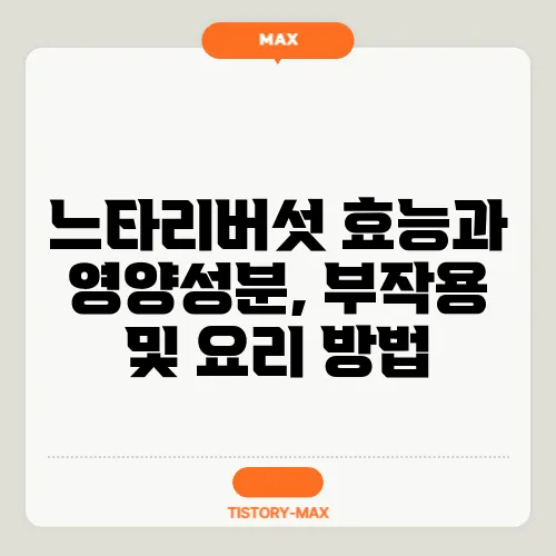 느타리버섯 효능과 영양성분, 부작용 및 요리 방법