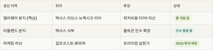 미국 저평가 주식- 퍼미안 리소시스02