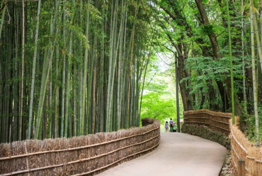 담양 여행 1박2일 코스