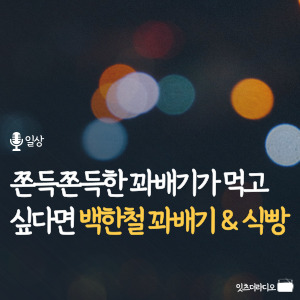 쫀득쫀득한 꽈배기가 먹고 싶다면 서귀포 백한철 꽈배기
