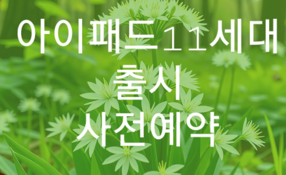 2025년 아이패드 11세대 완벽 구매 가이드