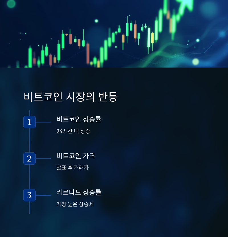 비트코인 시장의 반등 현상
