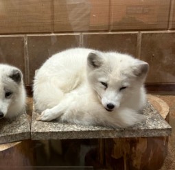 제주 비올때 가볼만한 곳