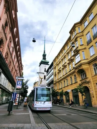 체코 브르노 여행 정보 코스_3