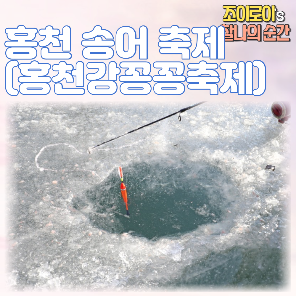 홍천 송어축제