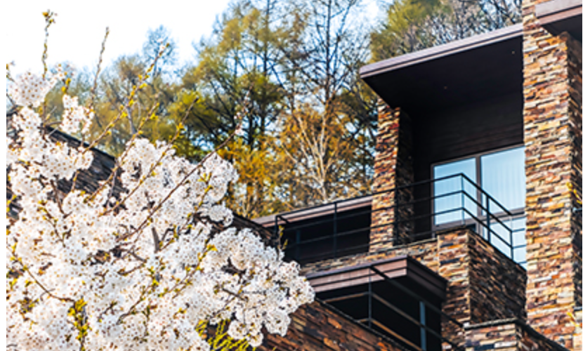 리솜포레스트 맛집