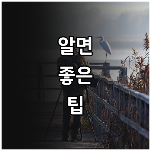 2025 부산진구 임산부 태아기형아 ..