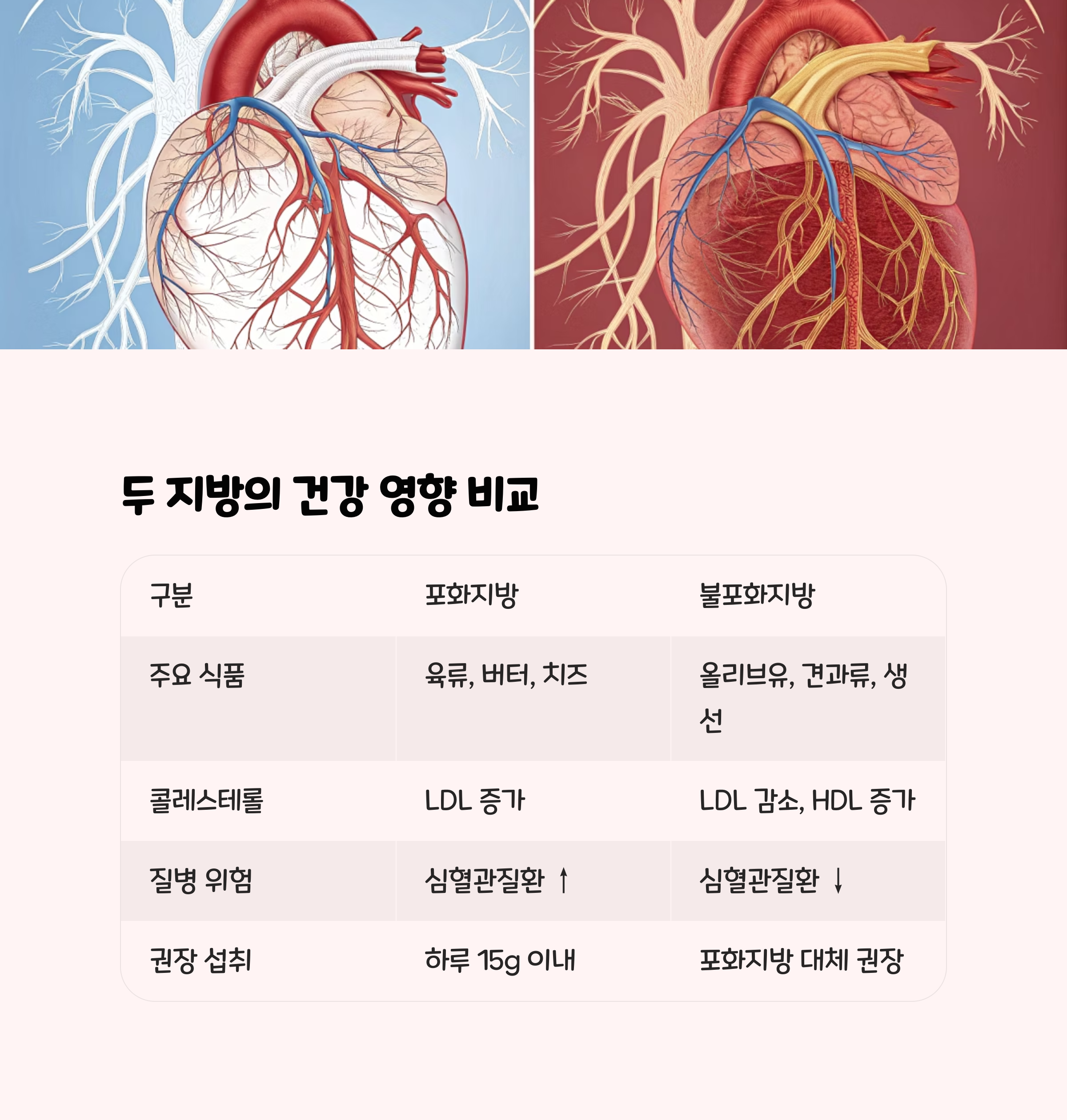 건강 영향 비교