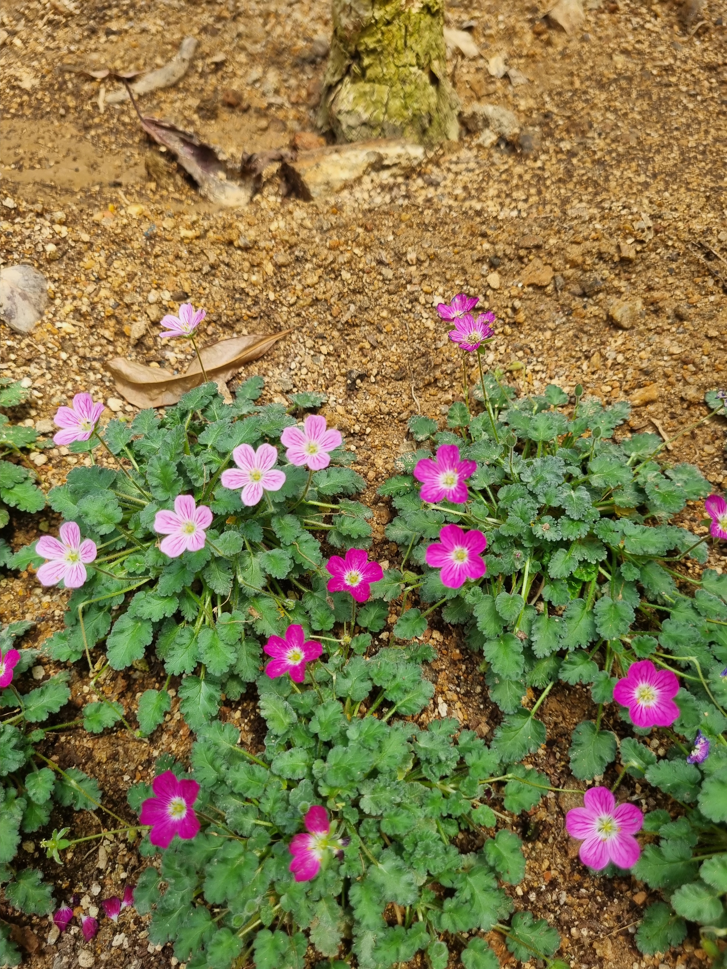 부천 가볼만한 곳 자연생태공원