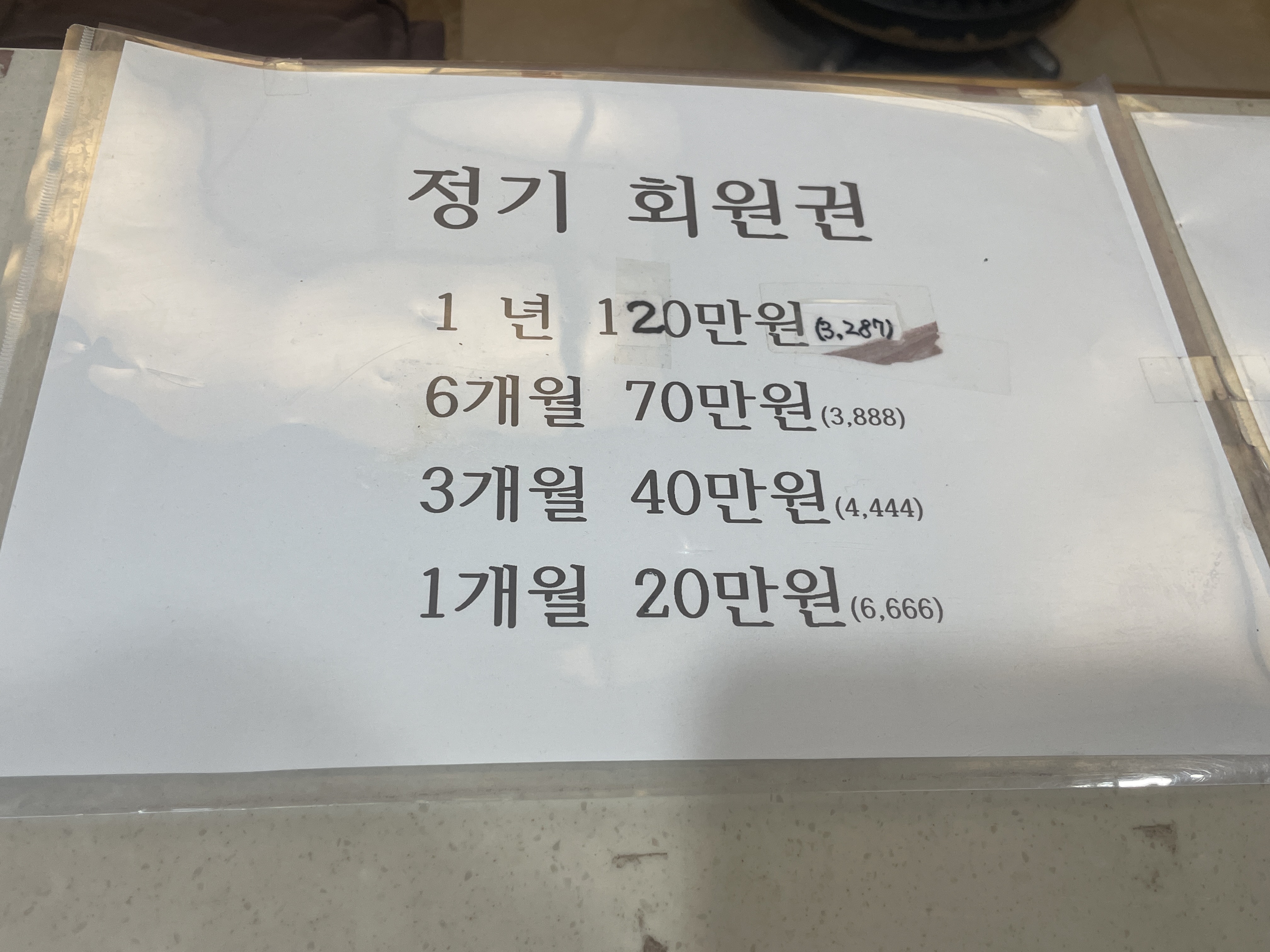 홍삼스파