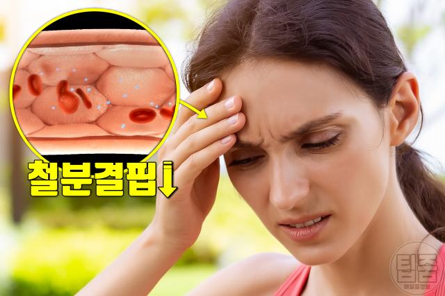 기생충 감염 증상 만성피로 무기력감