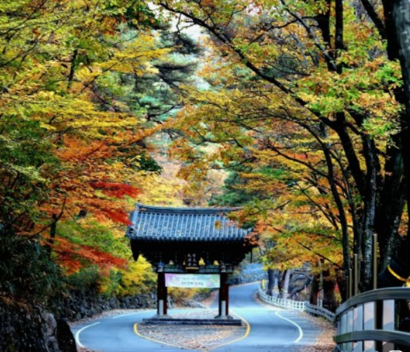 지리산 단풍
