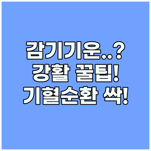 강활 활용한 감기 기운 극복과 기혈 ..