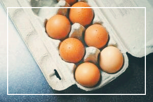 멜라토닌-효능-풍부한-음식-타르트-달걀