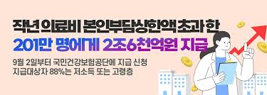 작년 의료비 본인부담 상한액 초과환급
