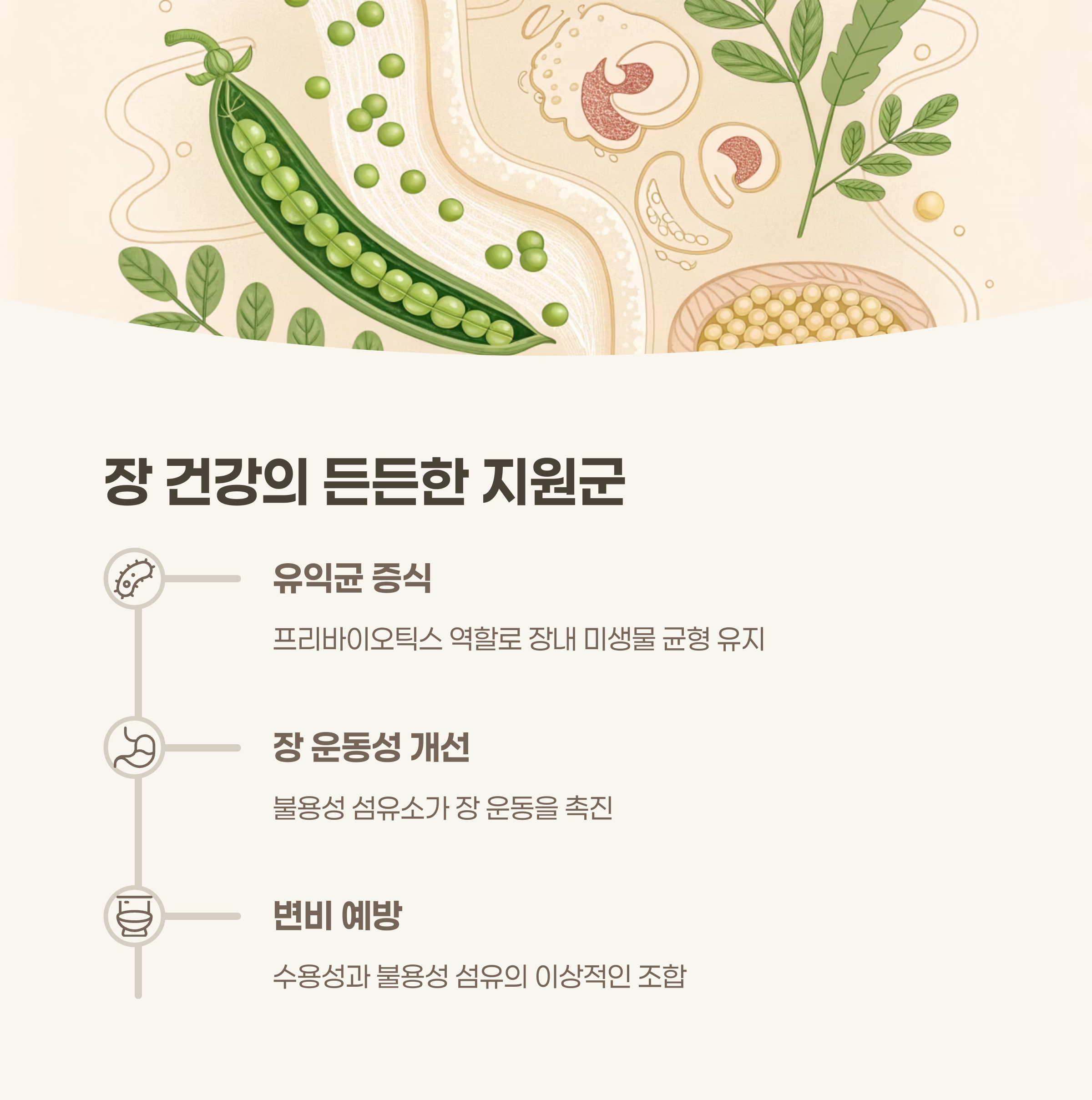 소화기 건강과 장내 환경 개선