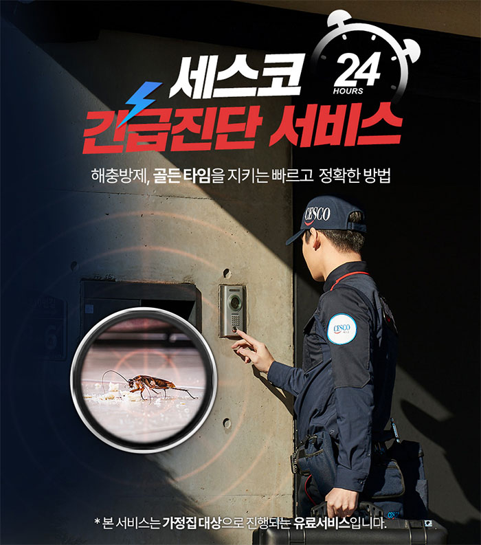 세스코 가정집 가격 방역비용 총정리