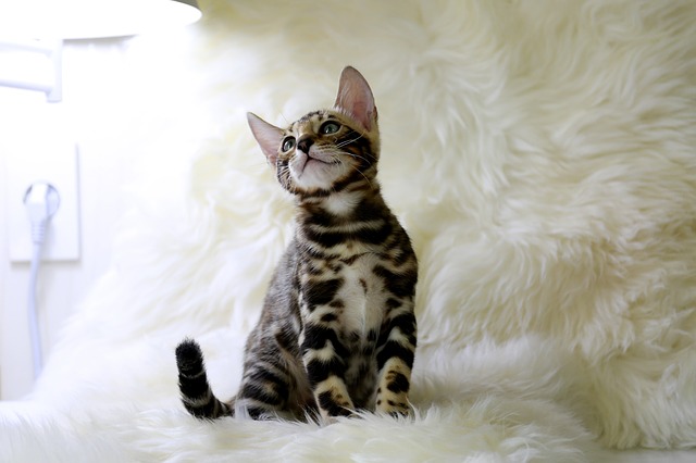 강박장애