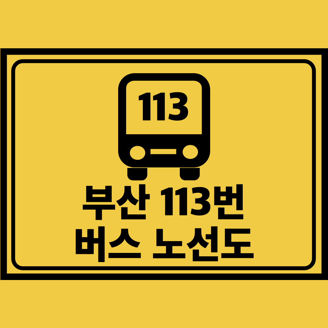 부산113번버스노선도