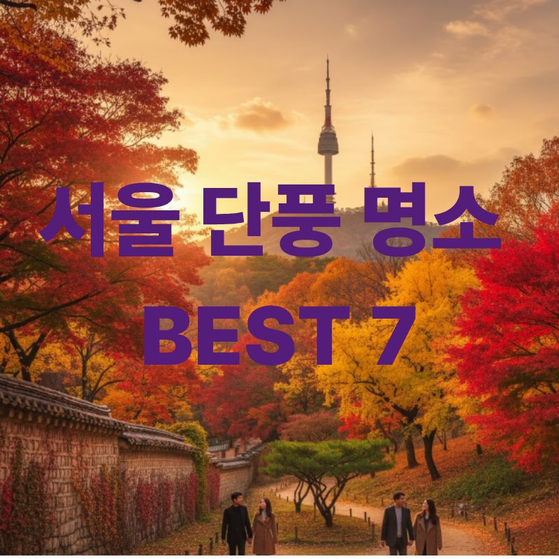 2025 서울 단풍 명소 BEST 7｜가을 절정 시기와 나들이 코스 
관련이미지