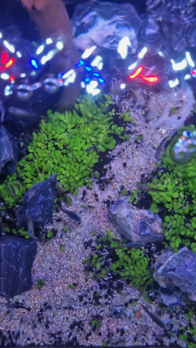 경기도 이천 구피천 위치 주차 및 준비물 정보 (2024)