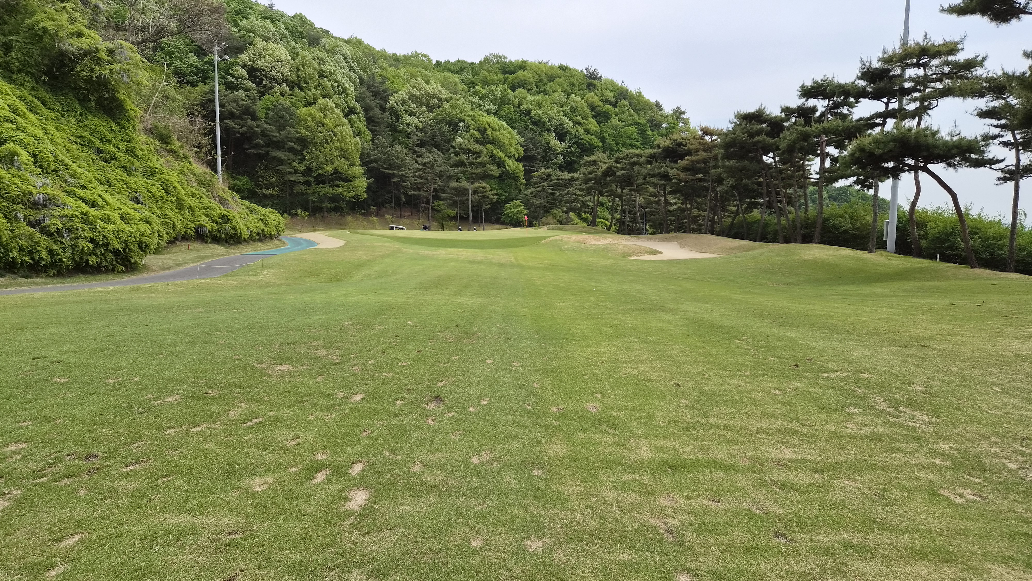 포웰cc 프린세스 코스 사진 및 공략 정보