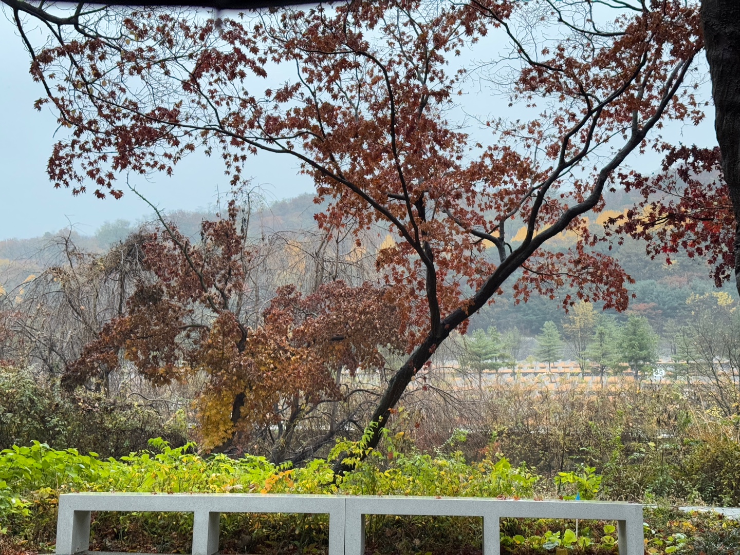 국립현충원
