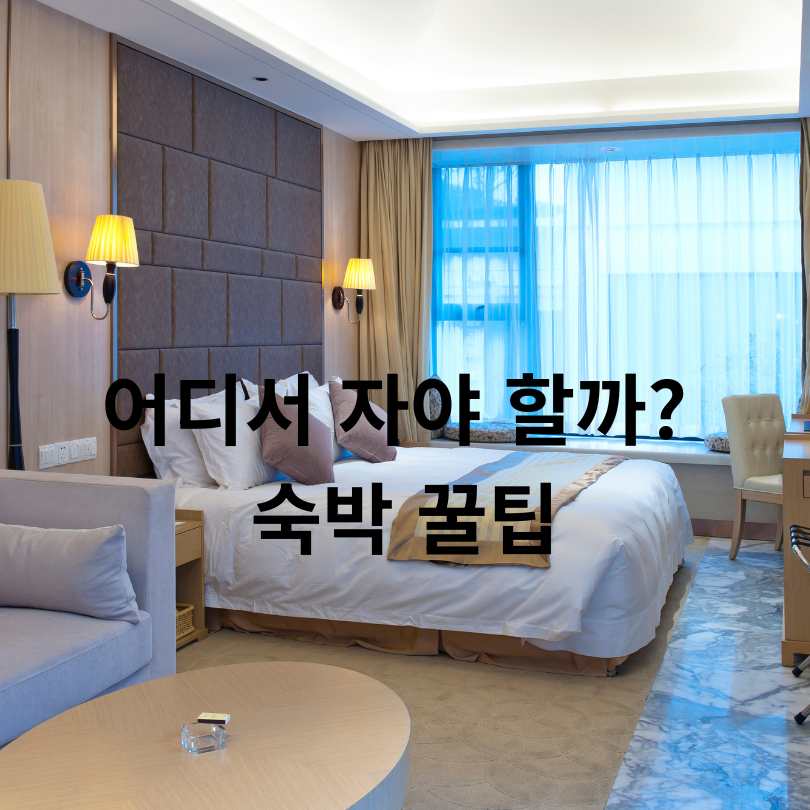 2025 경포썸머 페스티벌