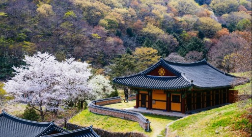 [나주 여행지 추천] 나주 가볼만한곳 3. 불회사