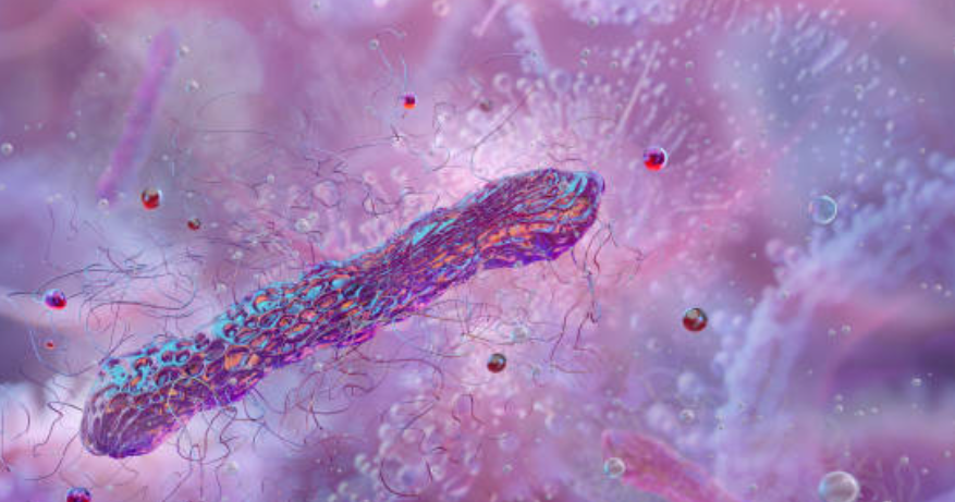 파상풍과 관련된 사진2