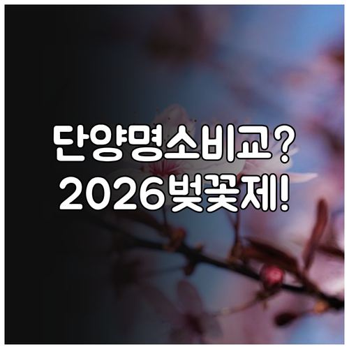 단양 벚꽃 명소 비교 및 2026년 ..