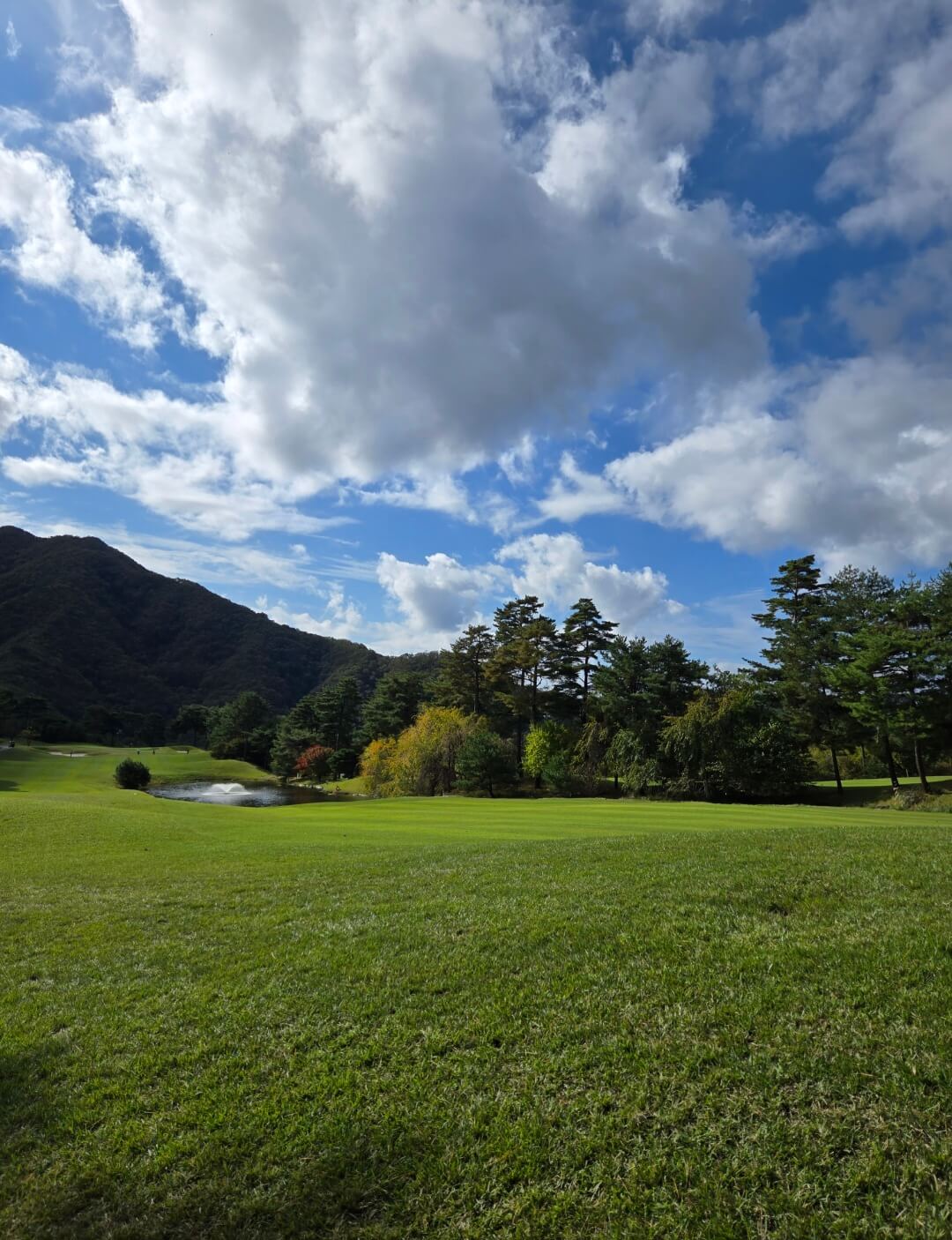 프리스틴밸리CC 페어웨이잔디