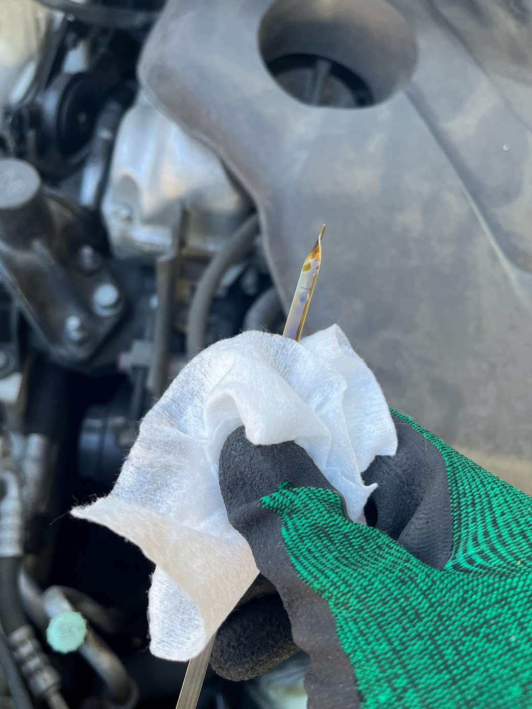 오일-게이지를-닦아줍니다