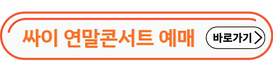 싸이 연말콘서트