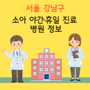 서울 강남구 소아 야간·휴일 진료 병원 정보