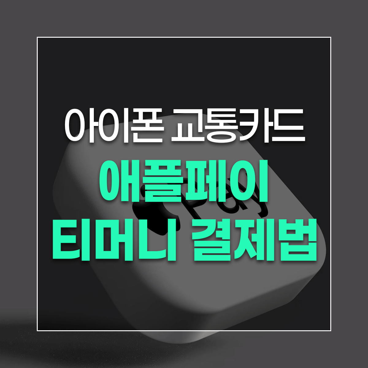 아이폰 교통카드 애플페이 티머니 결제법