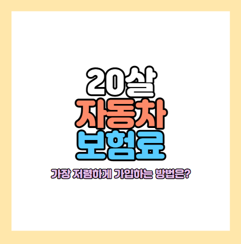 20대자동차보험료