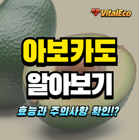 아보카도 알아보기