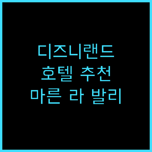 디즈니랜드 호텔 마른 라 발리 추천 ..