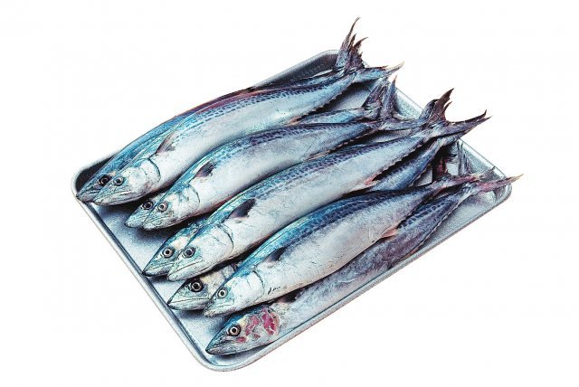 삼치의 효능 및 부작용