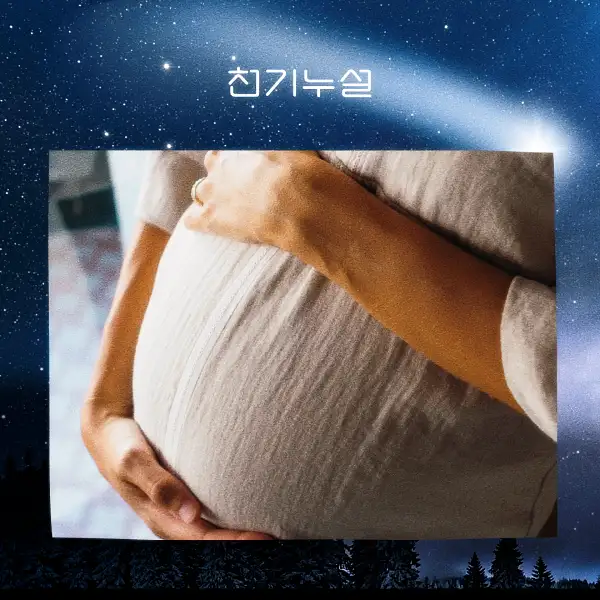 임신하는 꿈 해몽